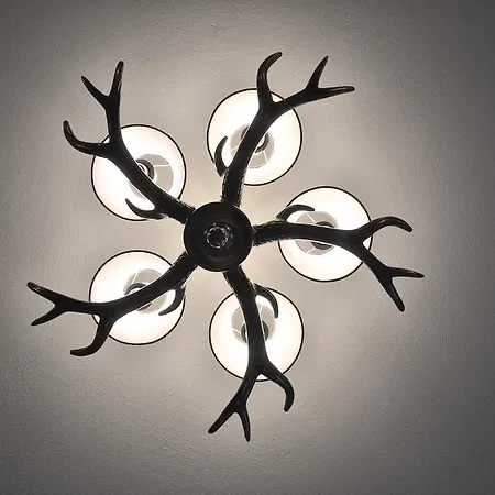 Home Suite Home 4* فيبربرن